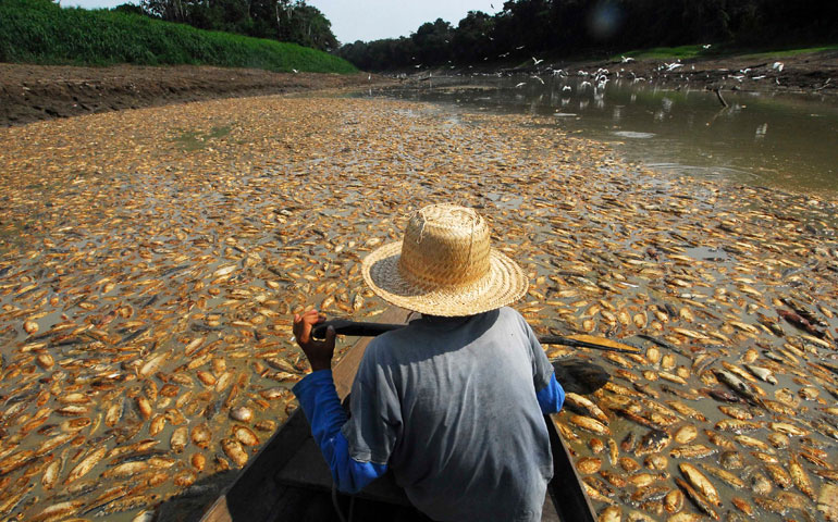 Imagen del Amazonas a su paso por Manaus, Brasil.