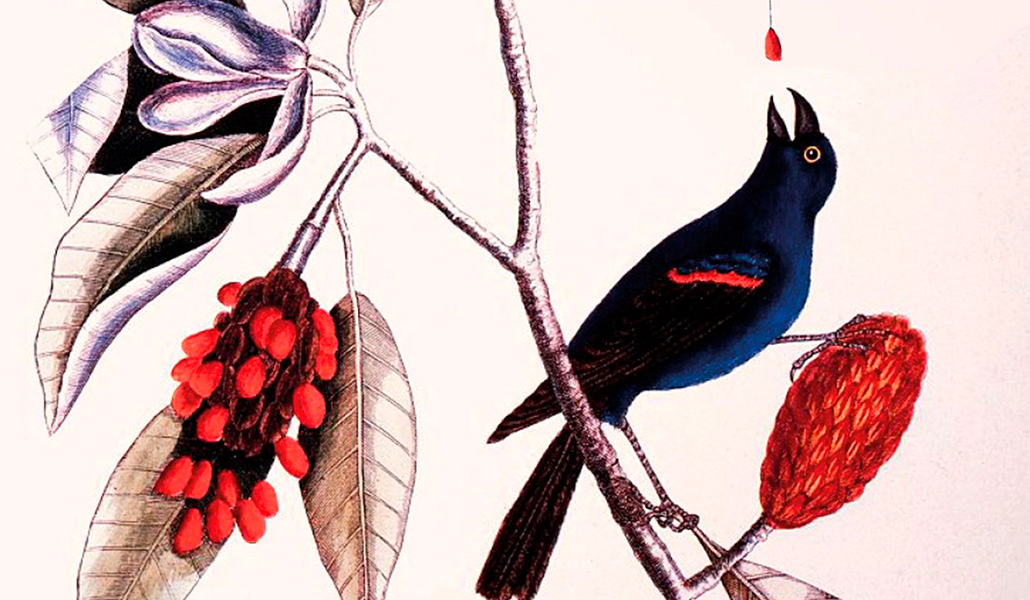Detalle de la portada