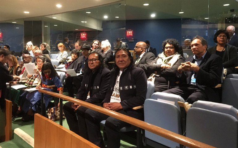 Foro Permanente de Asuntos Indígenas de las Naciones Unidas