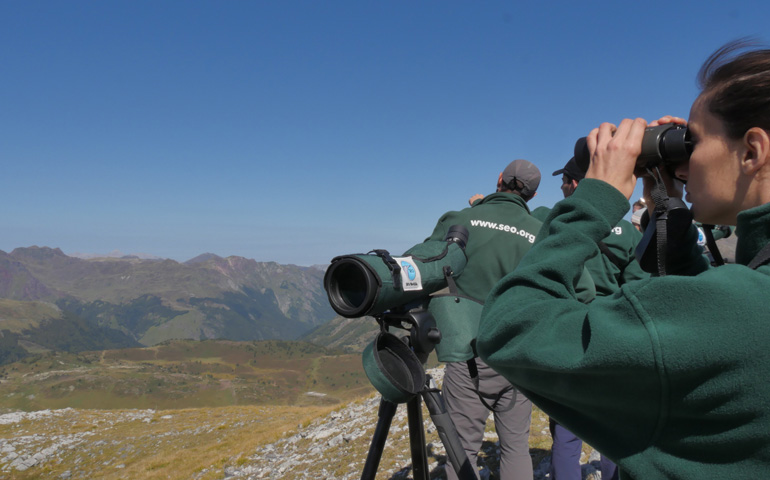 Miembros de SEO / BirdLife durante una actividad de observación y censo de aves