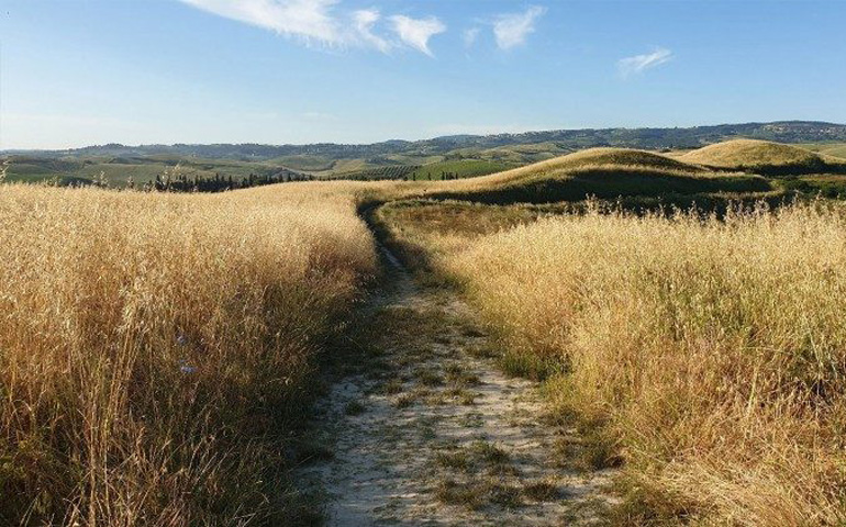 Via Francígena en la Toscana