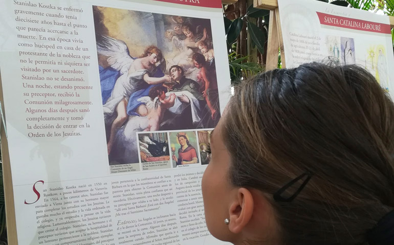 Una joven de un colegio de Alcorcón ante uno de los paneles de la muestra