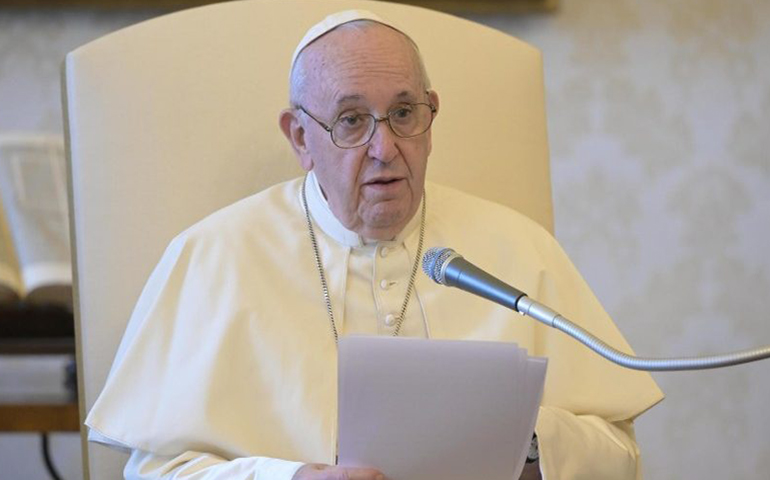 El Papa Francisco durante la audiencia