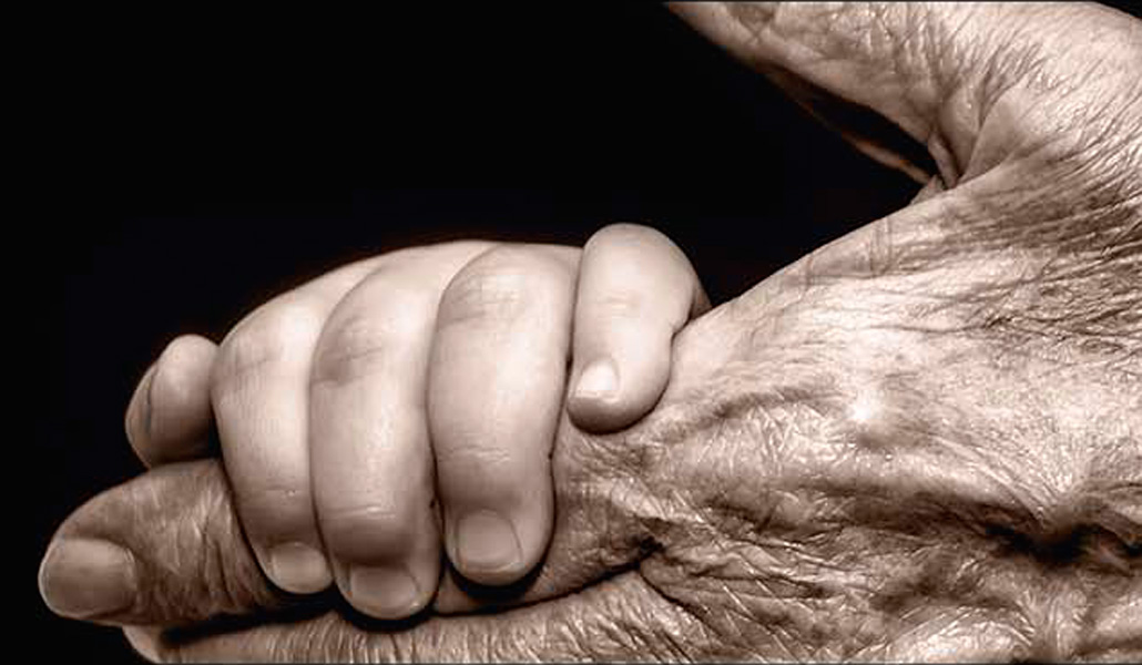 Detalle de la portada del libro