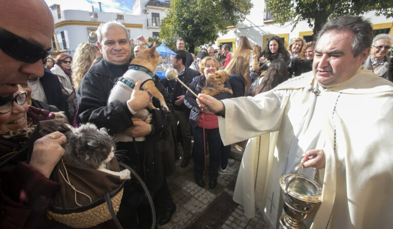 Bendición de los animales el día de San Antón, en la parroquia del Carmen, en Córdoba