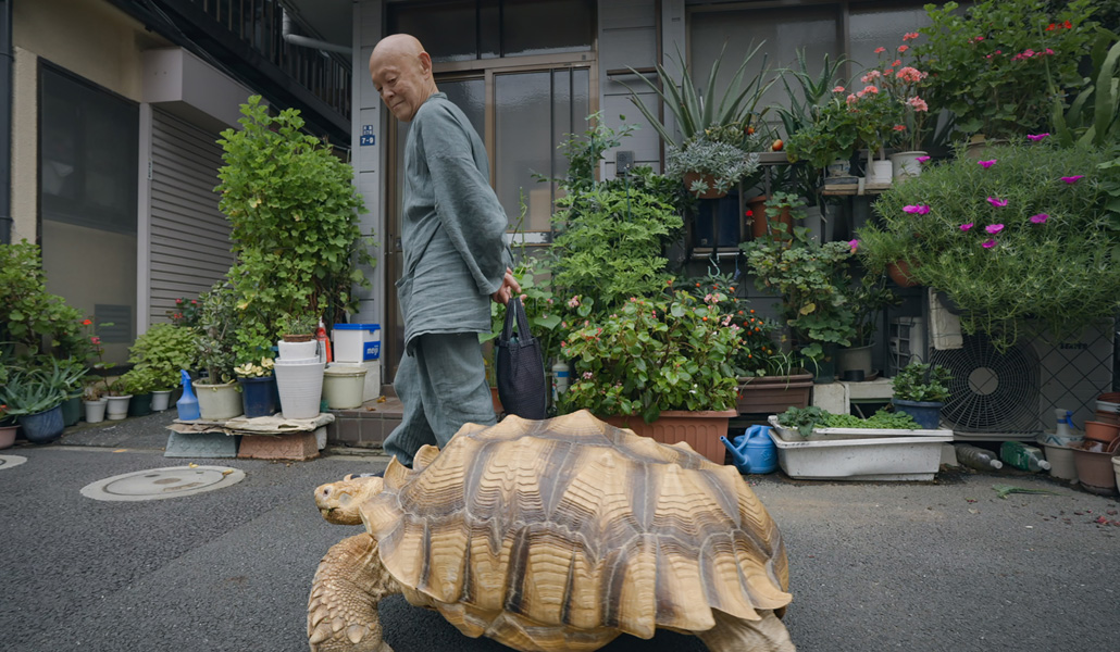 Tortuga en un fotograma del cuarto capítulo de la serie