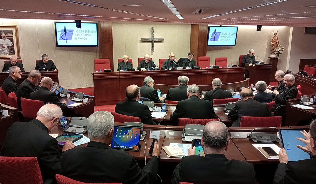 Un momento de la Asamblea Plenaria de la CEE