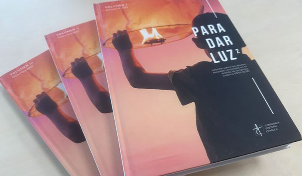 Ejemplares del informe 'Para dar luz'