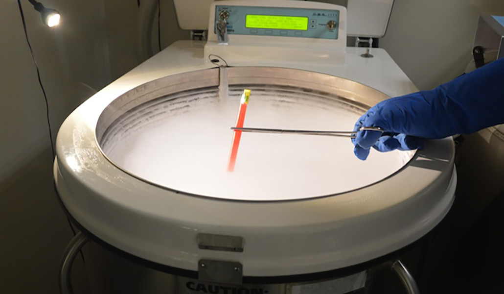 Los embriones se criogenizan a -196º C. Alabama los considera «niños»