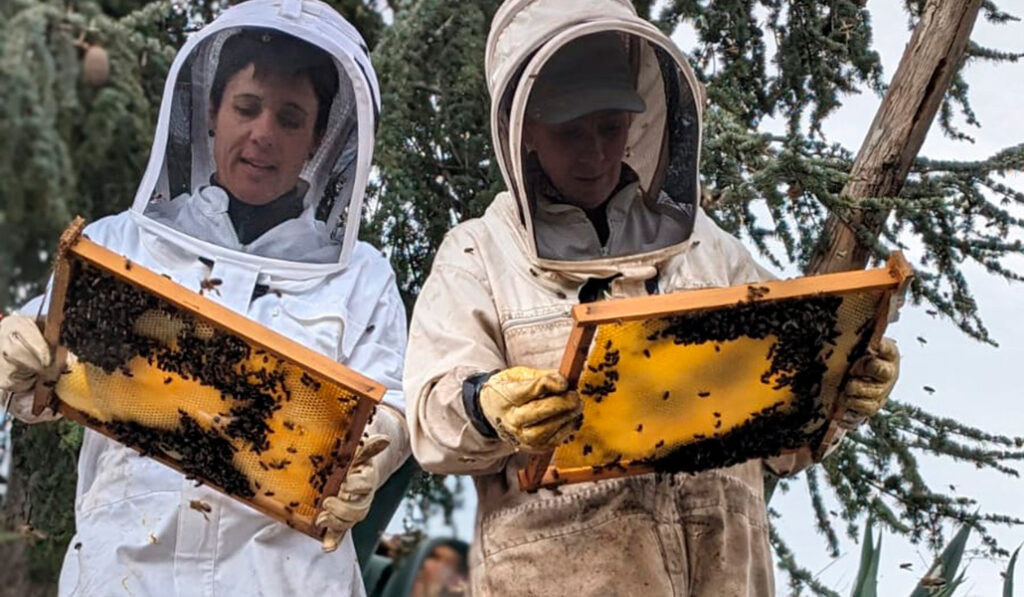 Natalia Lainez y Lucía Ibáñez trabajan en su empresa familiar en el Parque Natural del Moncayo