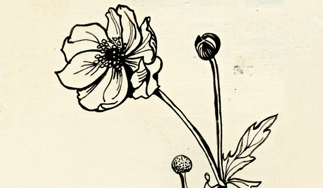 Detalle de la portada