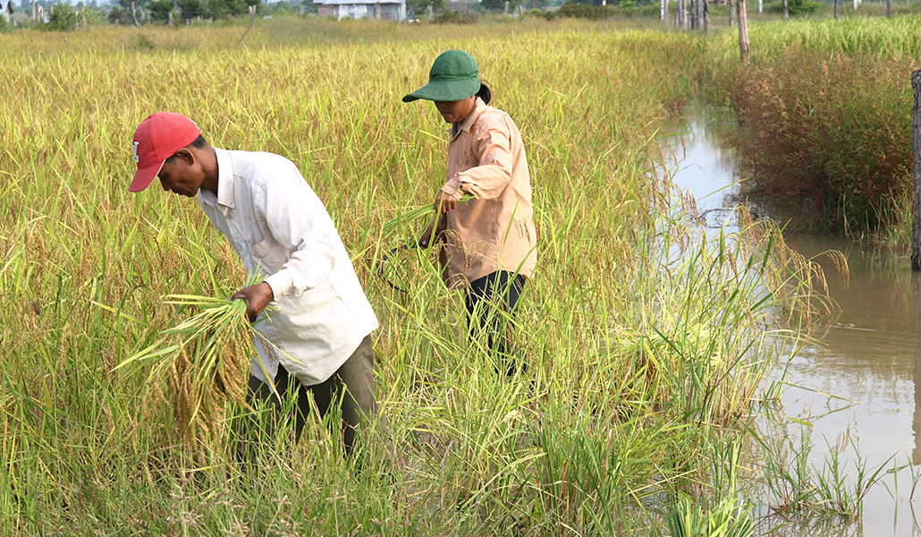 Uno de los proyectos de Manos Unidas en Camboya