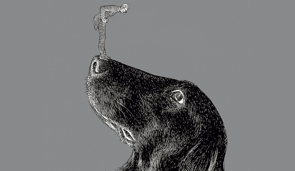 Detalle de la portada