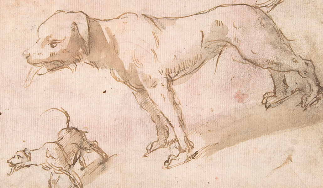 'Dos perros'. Anónimo español. Escuela de Sevilla del siglo XVII. Metropolitan Museum of Art de Nueva York
