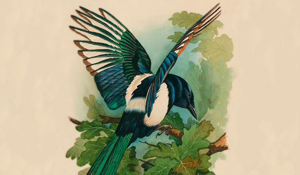 Detalle de la portada