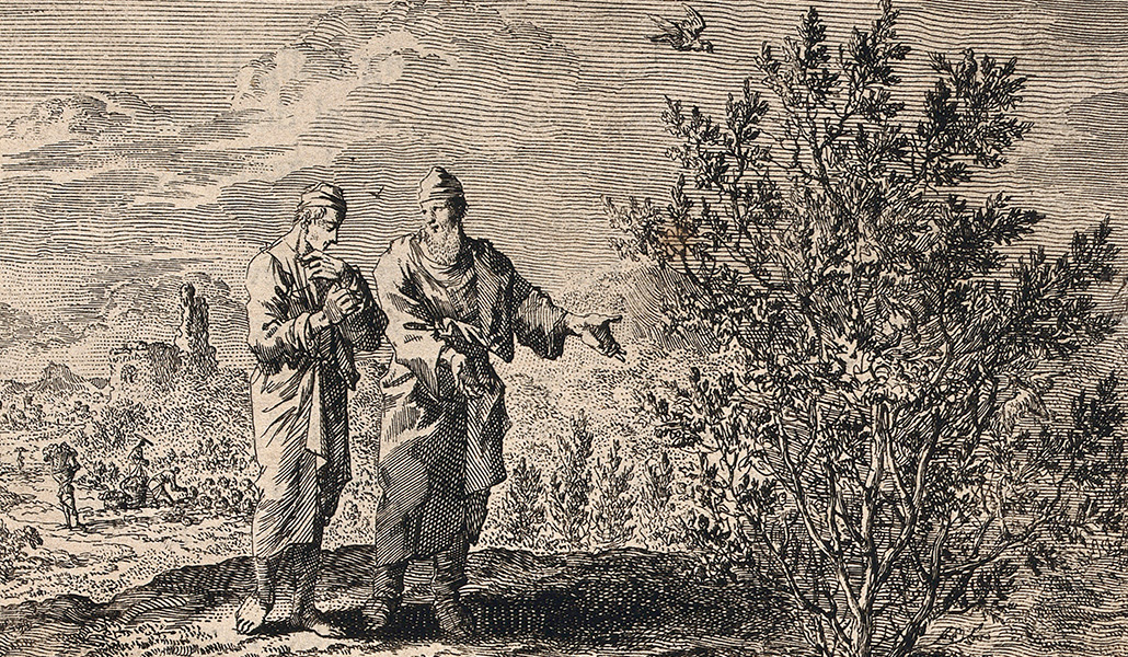 'Dos hombres contemplan un arbusto cultivado a partir de semillas de mostaza' de Jan Luyken. Rijksmuseum, Ámsterdam (Holanda)