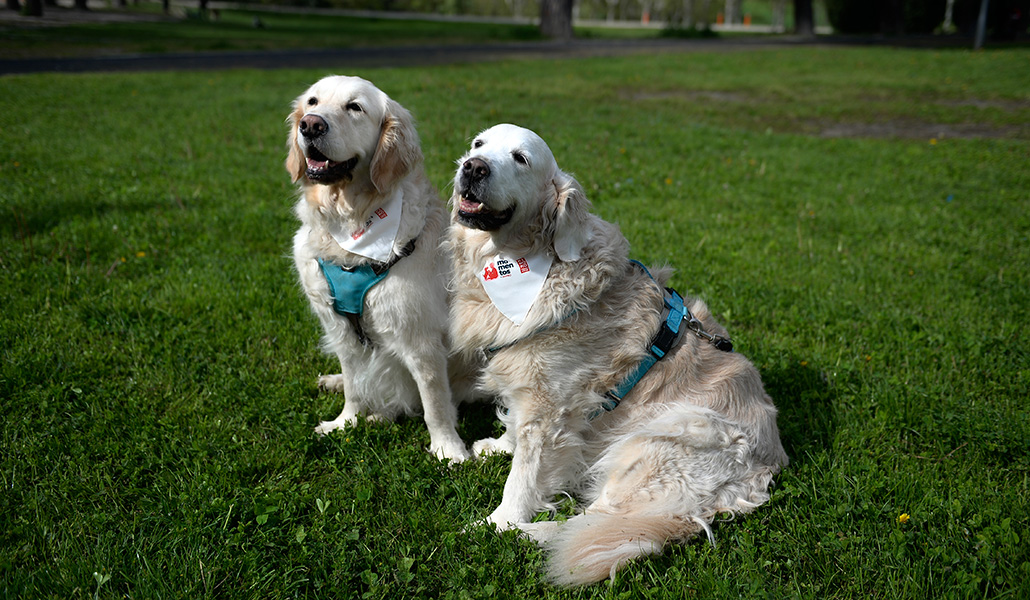 Nora y Area durante el recreo en el parque a mitad de su jornada de trabajo en el cole