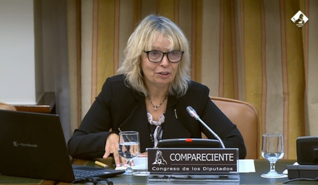 Molina durante su comparecencia