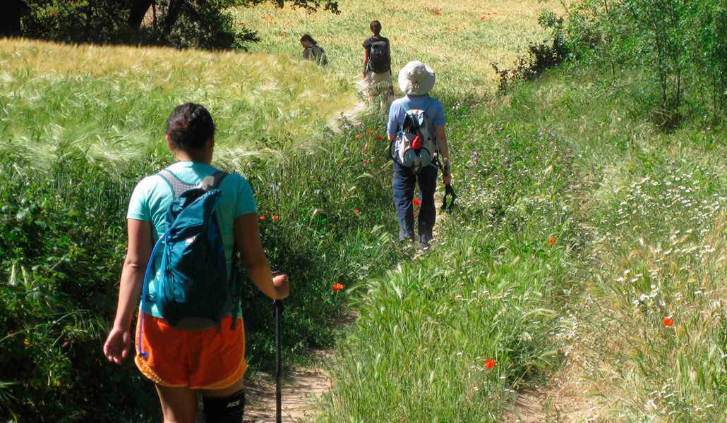 Peregrinos del Camino Ignaciano llegando a Manresa