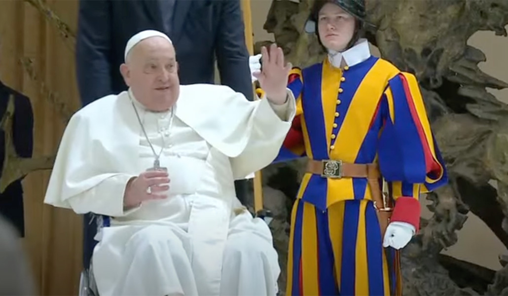 El Papa Francisco durante la audiencia