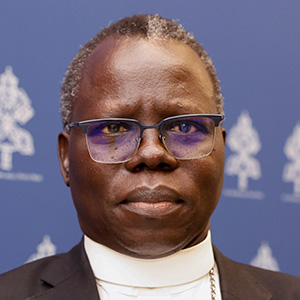 Stephen Ameyu Martin Mulla