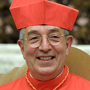 Cardenal Angelo De Donatis