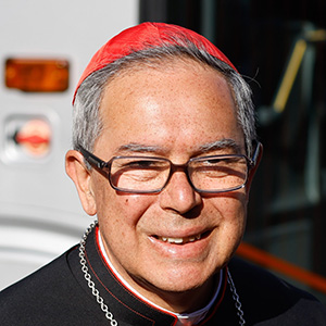 Cardenal Luis José Rueda Aparicio