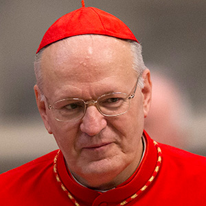 Cardenal Péter Erdö