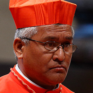 Cardenal Soane Patita Paini Mafi