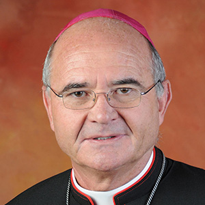 Cardenal Stephen Brislin