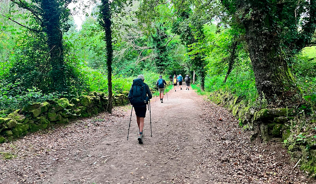 Los internos recorriendo el Camino