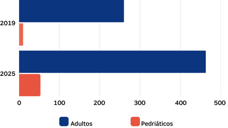 Gráfico sobre los servicios de paliativos