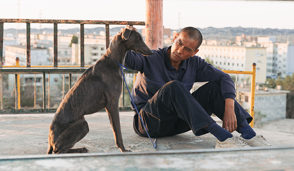 Eddie Peng da vida a Lang, que encontrará en la relación con un perro callejero un ancla.