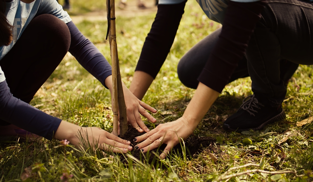 Madre e hijo colaboran para plantar un árbol. Foto: Freepik.