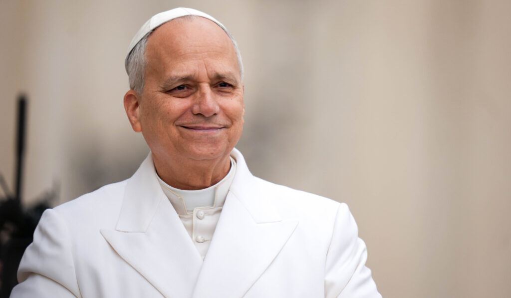 El Papa durante la audiencia