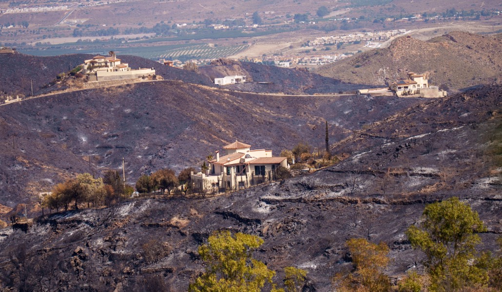 Imagen de la zona tras el paso de las llamas.