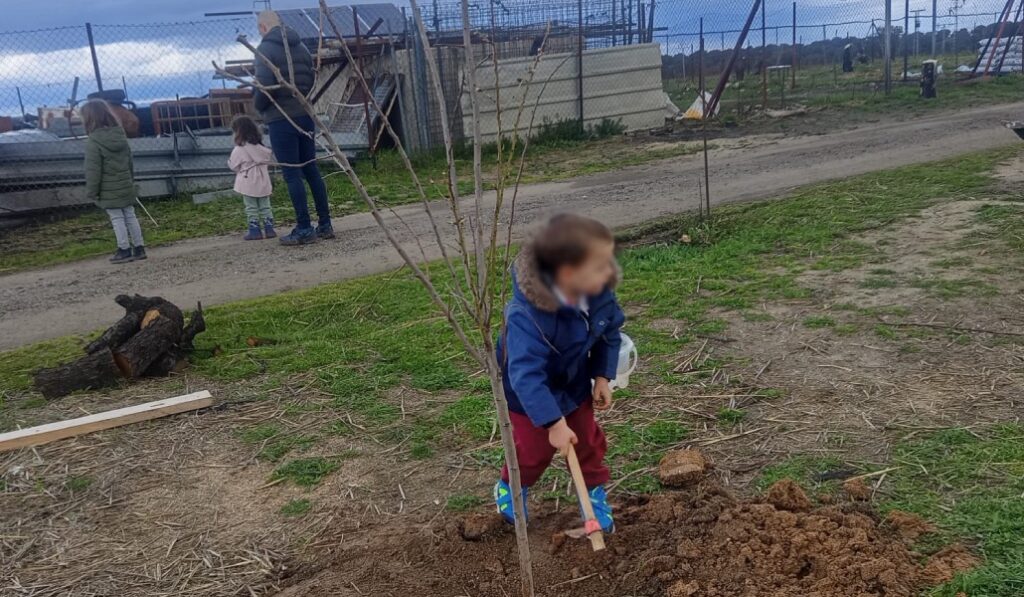 Los niños de la escuela de ocio y tiempo libre Jeímaros plantaron pequeños árboles de invernadero.