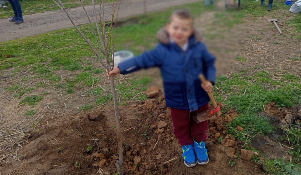 El hijo de Nieves fue el primero en plantar su árbol sobre lo que el fuego quemó en 2025.